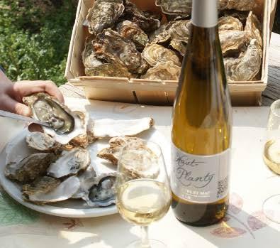 Dégustation d'huîtres et de muscadet, spécialités de l'Échappée Gourmande