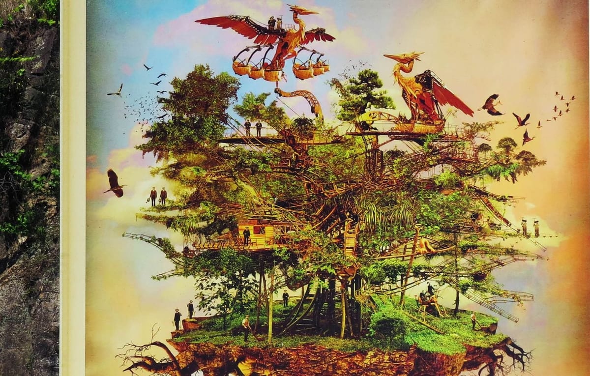 The Heron Tree, project drawing