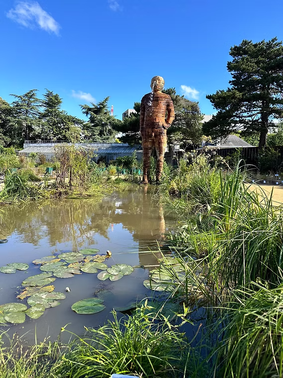 L'Homme de bois veillant sur ses grenouilles.